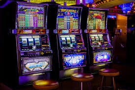 no77 Live Sportsbook Built Around Your Account